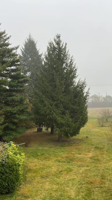 Sehr Attraktive Ferienwohnung Doberlug-Kirchhain Exteriér fotografie